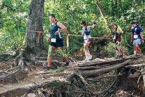 BIB: 
                            <button type="button" onclick="openModal(27556092)" class="btn btn-primary btn-sm float-right btn-popup" data-toggle="modal" data-target=".modal-high-quality">
                        <i class="fas fa-shopping-cart"></i> Add to Cart
                    </button>
                                            <button type="button" onclick="isThisMe(27556092, true)" class="btn btn-success btn-sm float-right btn-popup btn-isme hidden" data-toggle="tooltip" data-placement="bottom" title="นี่คือรูปของคุณใช่ไหม คลิกที่นี่เพื่อเอาเข้าอัลบั้ม">
                        <i class="fas fa-plus"></i> Add to album
                    </button>
                    <button type="button" onclick="isThisMe(27556092, false)" class="btn btn-warning btn-sm float-right btn-popup btn-isnotme hidden">
                        <i class="fas fa-ban"></i> Remove from album
                    </button>